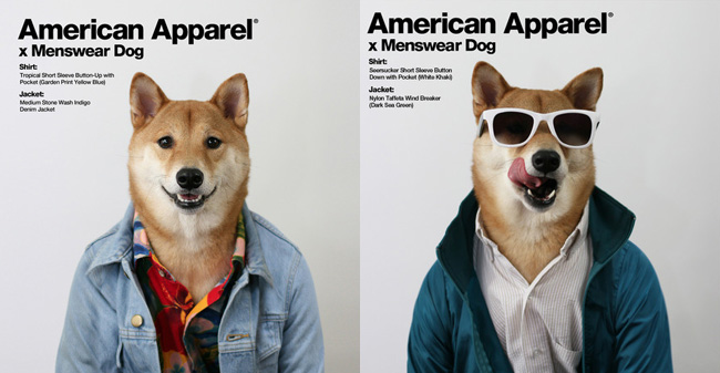 Alcune immagini della campagna American Apparel 